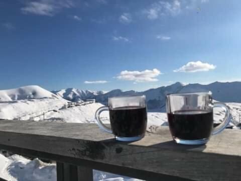 Gudauri Ski Studio Dış mekan fotoğraf